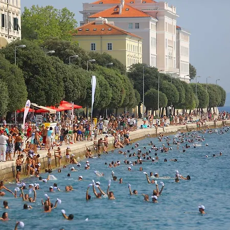 아파트 Sendy 자다르